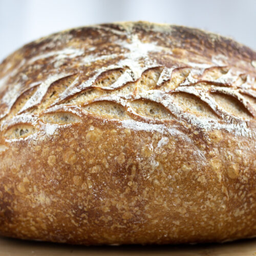 https://mayaskitchendaydreams.com/wp-content/uploads/2022/03/basic_sourdough_8-500x500.jpg